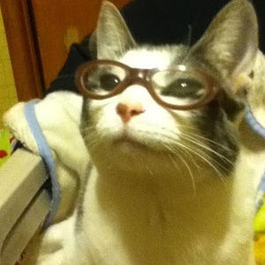 Meet your Posher, Liliana